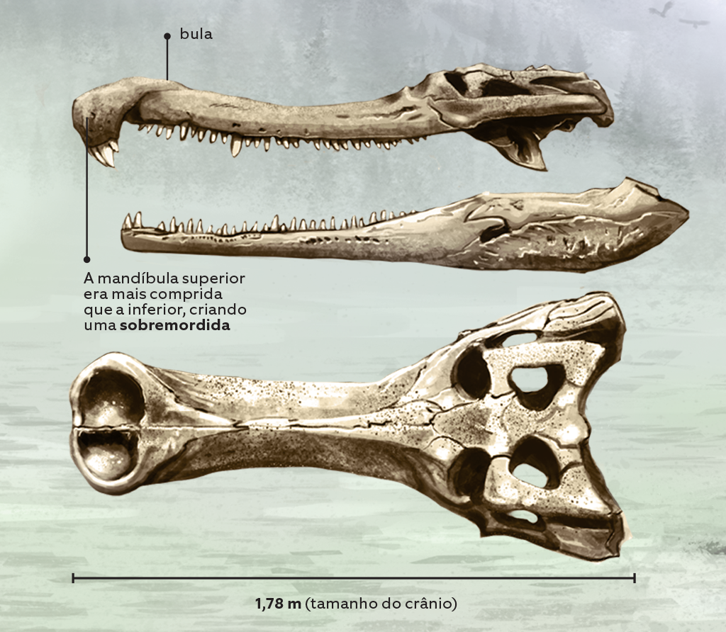 sarcosuchus-4