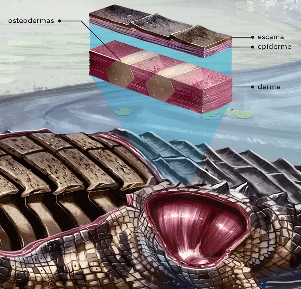 sarcosuchus-5