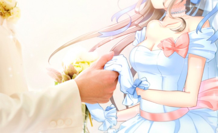 Empresa japonesa reconhecerá casamentos com personagens e pode até dar  ajuda financeira! - NerdBunker