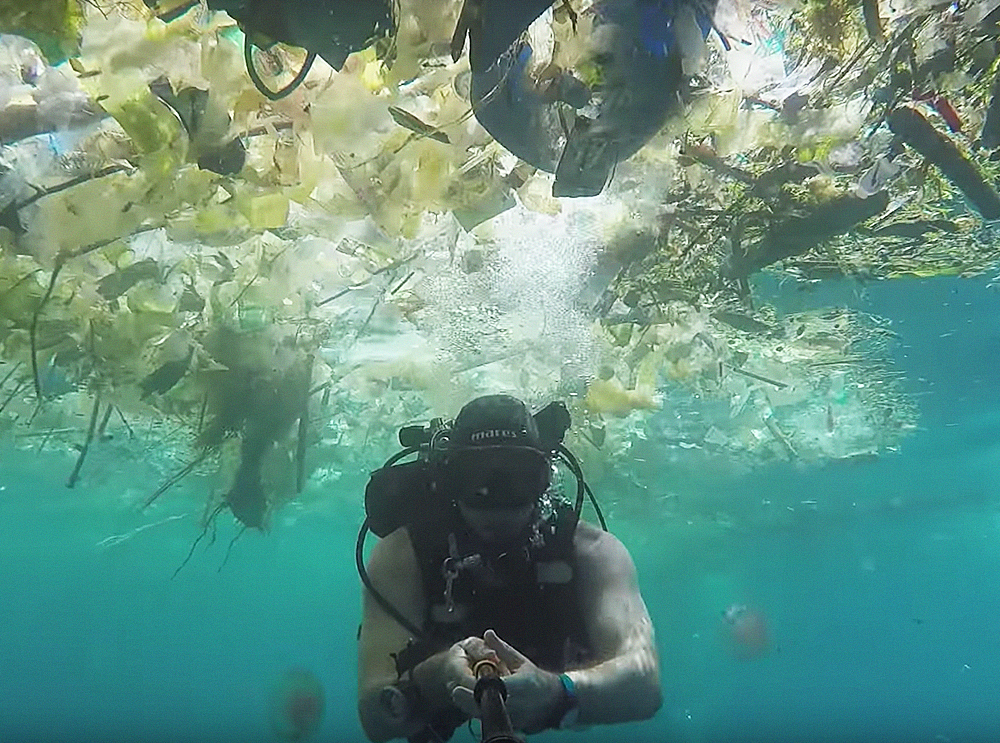 Um vídeo para mostrar que devemos parar já de poluir os mares