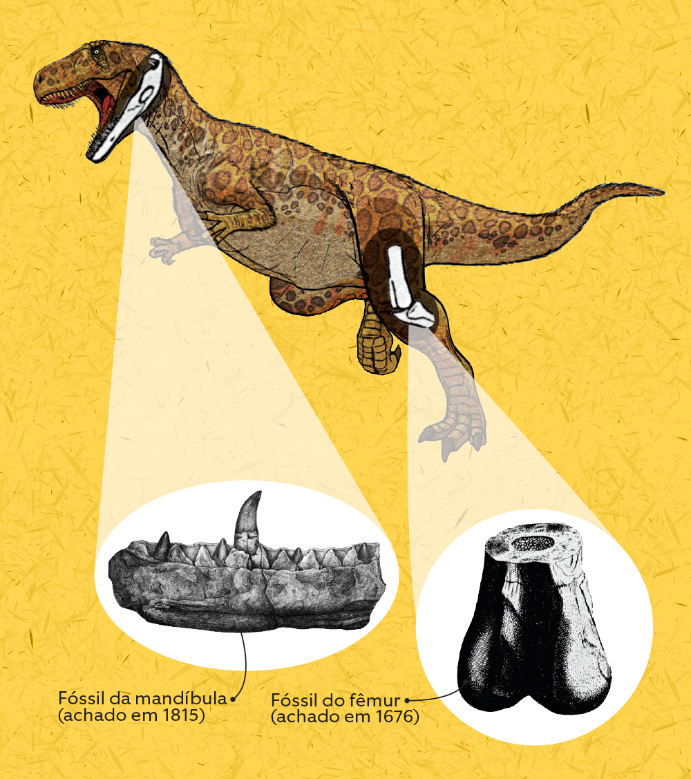 Megalosaurus bucklandii, Jurássico Médio da Inglaterra.