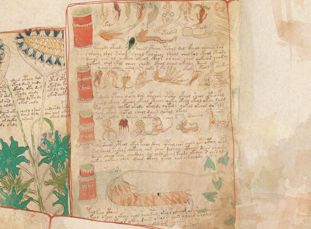 O que é o Manuscrito Voynich?