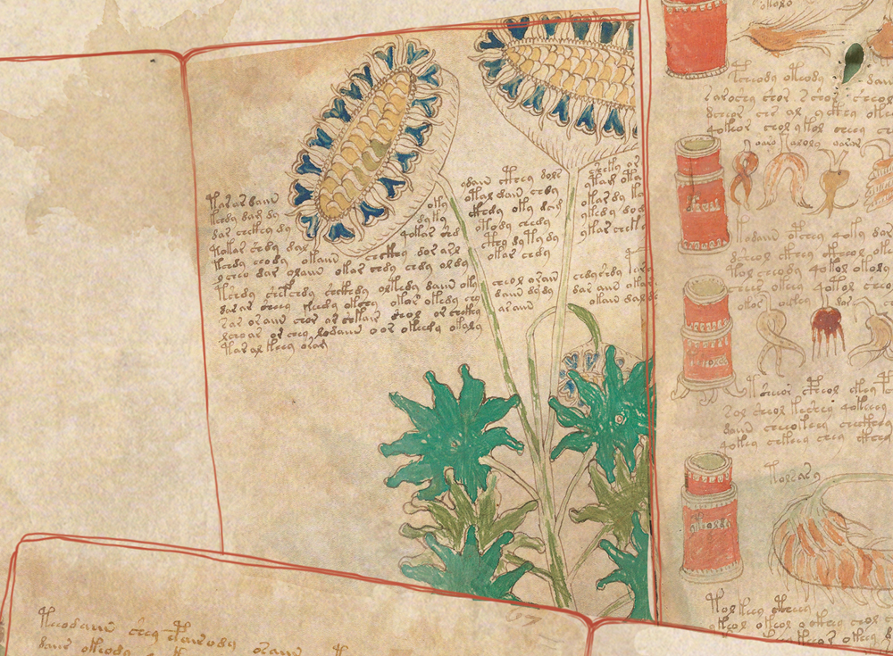 O que é o Manuscrito Voynich?