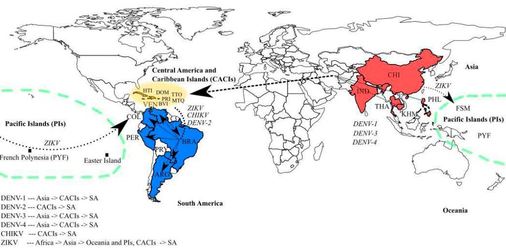 Mapa mostra a rota do vírus zika até chegar ao Brasil Mapa mostra a rota do vírus zika até chegar ao Brasil