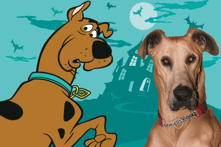 A raça do Scooby-Doo e de outro seis cachorros da ficção