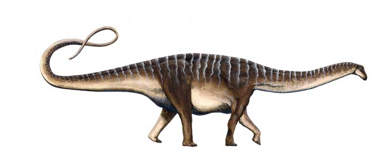 Amazonsaurus maranhensis