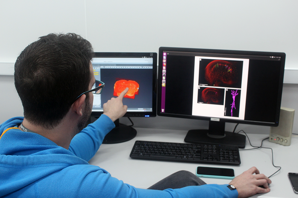 Matheus no interior de uma das cabanas do acelerador menor, o UVX. Na tela, ele mostra a visualização 3D do cérebro de um camundongo gerada pelos raios X do equipamento.