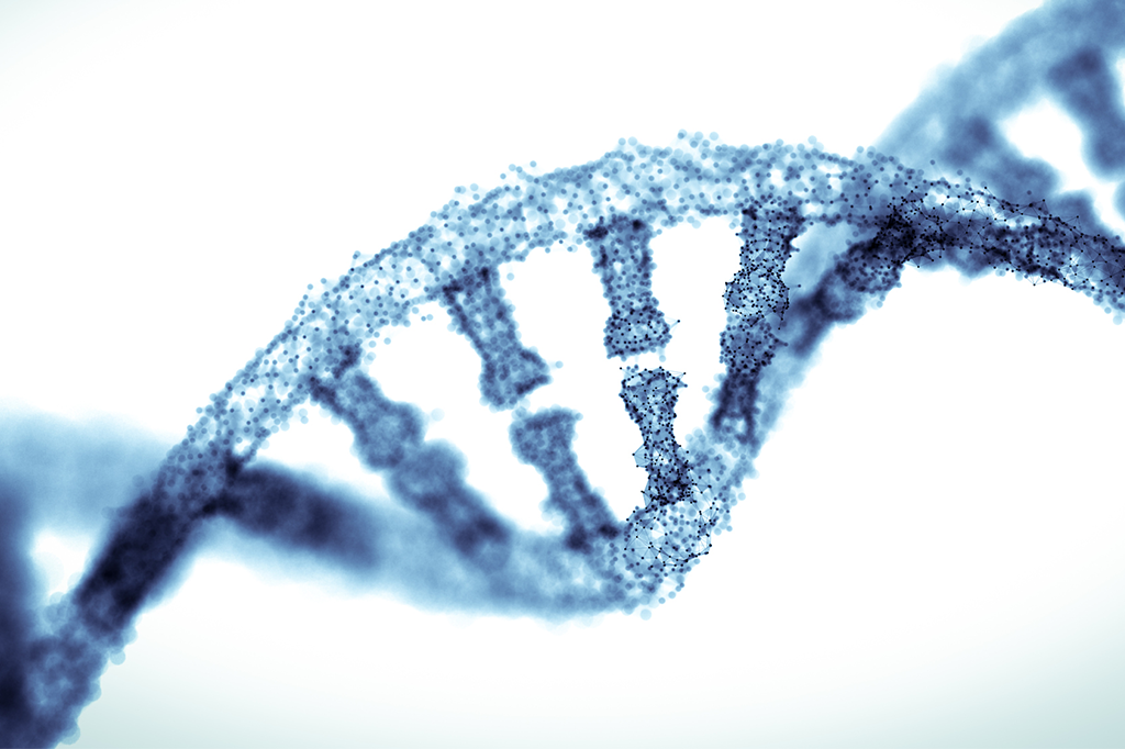 Estudo identifica 25 mutações genéticas responsáveis por vivermos mais