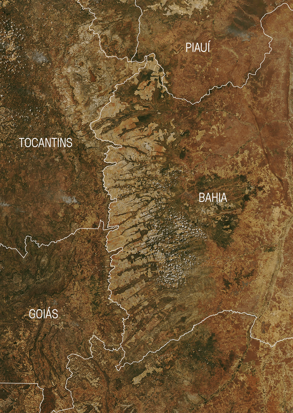 Mapa da plantação de soja no Brasil