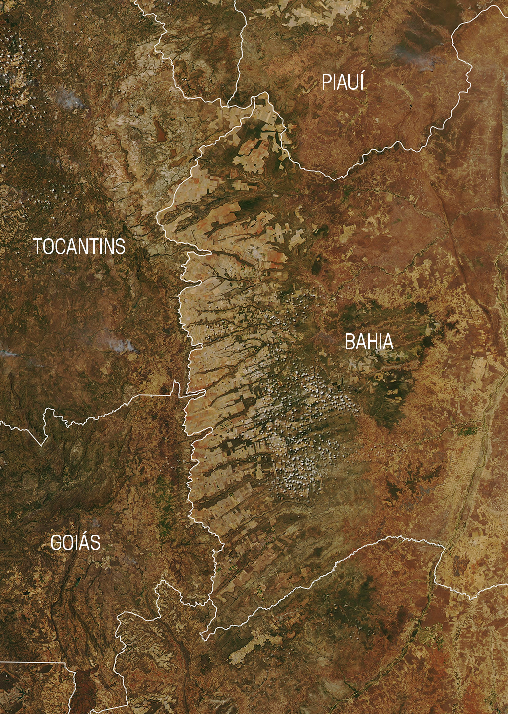 Mapa da plantação de soja no Brasil Mapa da plantação de soja no Brasil