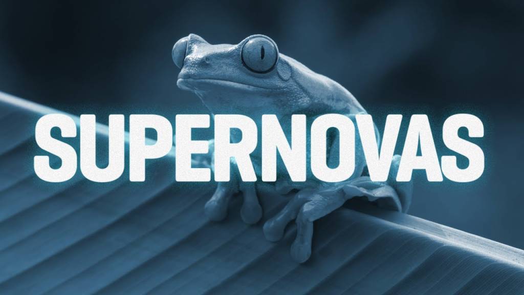 O kit para criar sapos mutantes em casa está à venda por US$ 499