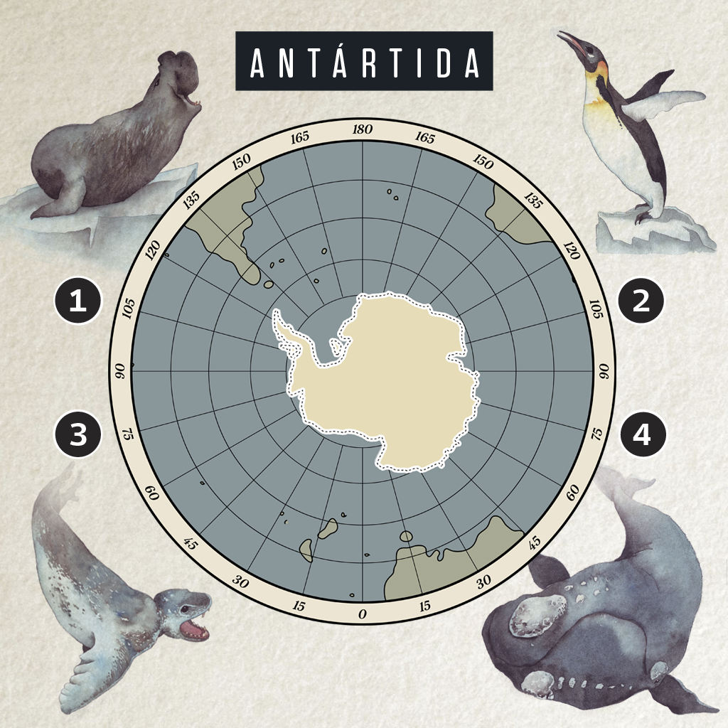 Infográfico com o mapa da Antártida visto de cima. Em volta, ilustrações de quatro animais que vivem lá: 1. Elefante-Marinho 2. Pinguim-Imperador 3. Foca-Leopardo 4. Baleia-Franca