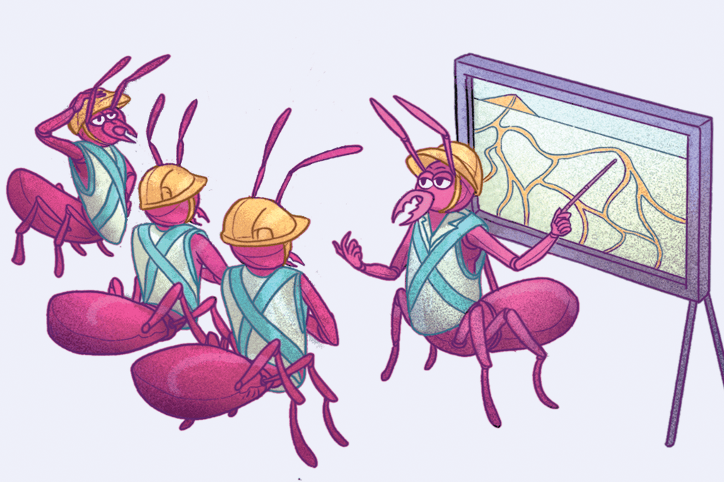 Onde as formigas constroem os formigueiros?