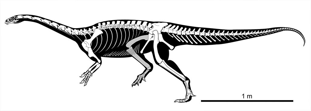 Dinossauro