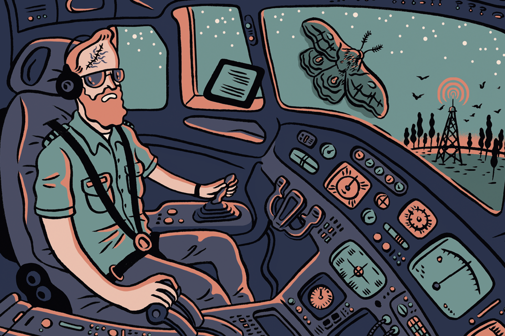 3 notícias sobre pelos