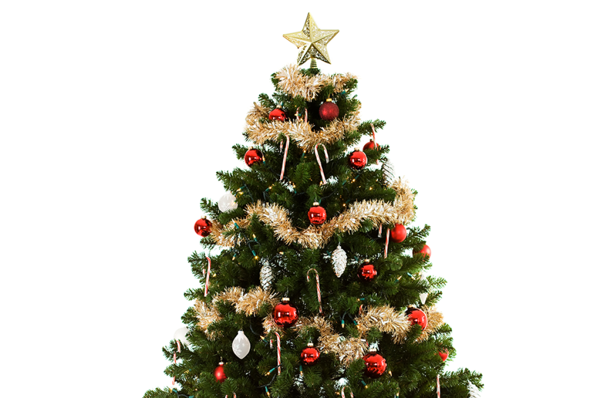 Qual é a origem da árvore de Natal? | Super