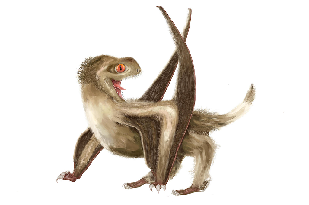 pterossauro