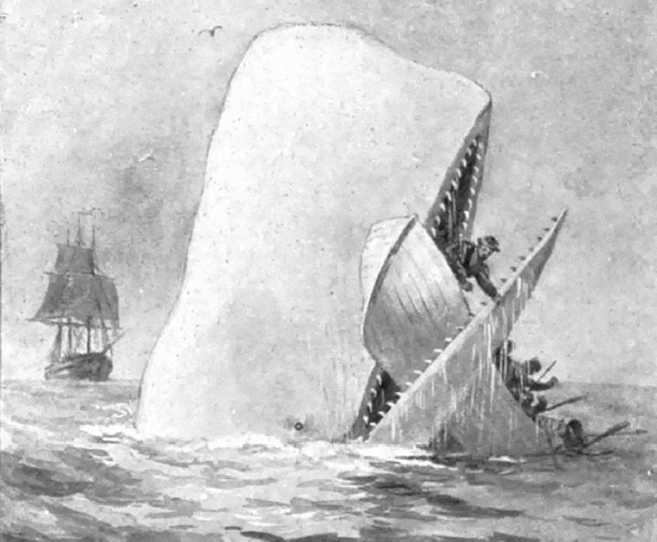 MONTE DE PALAVRAS: MOBY DICK, Herman Melville (1851) - como pescar baleia e  empatar a vida