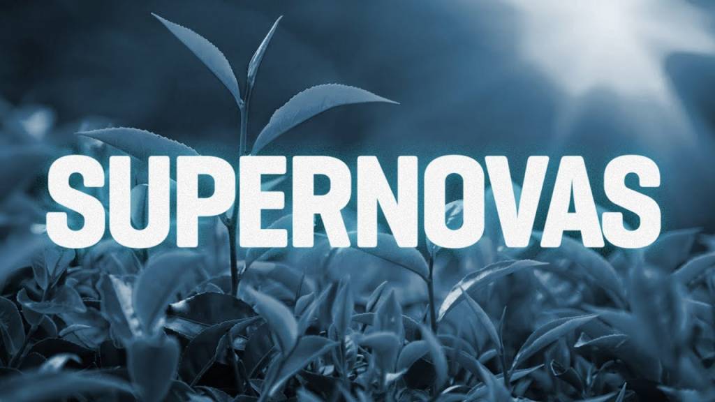 Quando surgiu a fotossíntese? – SUPERNOVAS