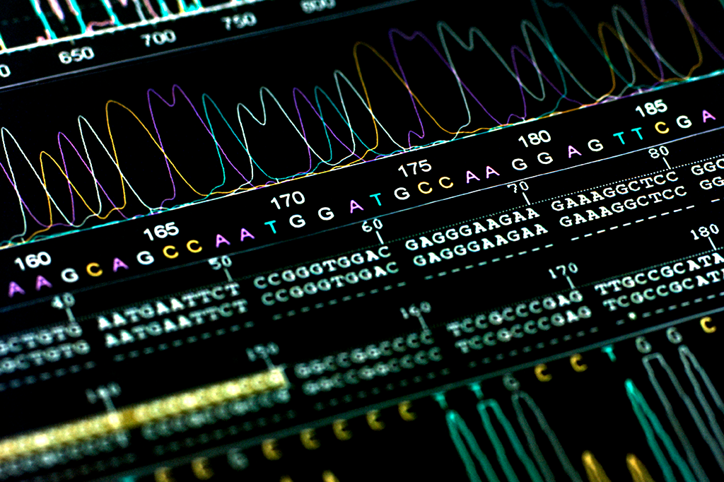 DNA humano contém indícios de hominídeo extinto desconhecido
