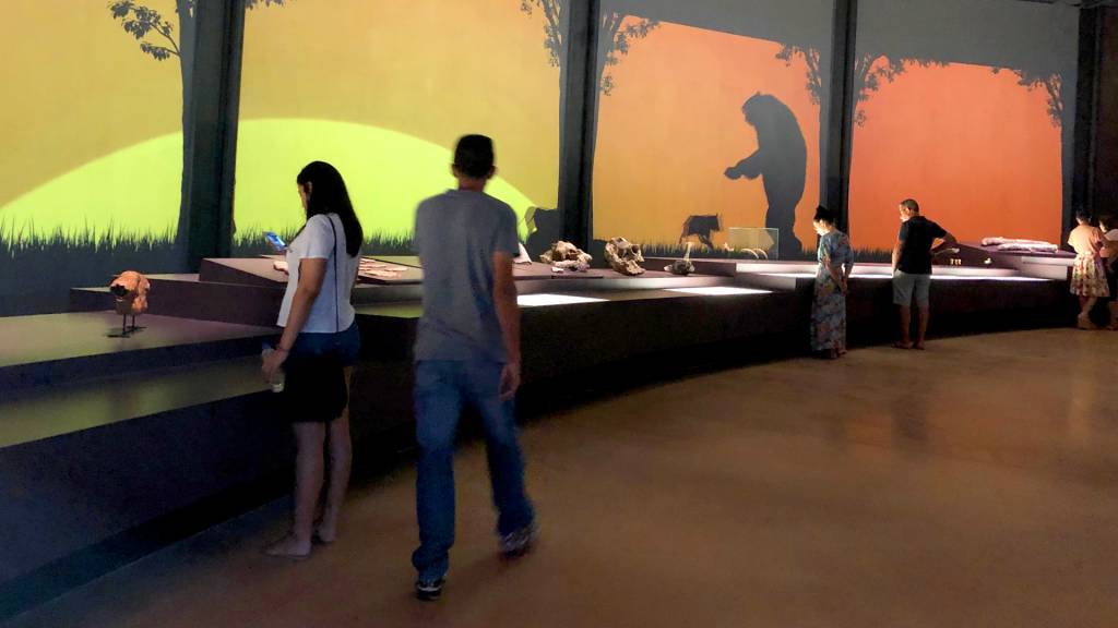 museu natureza 1 museu natureza 1