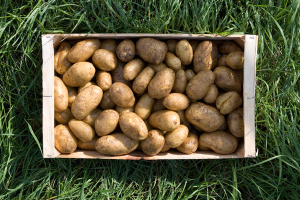 caixa-batatas-granada