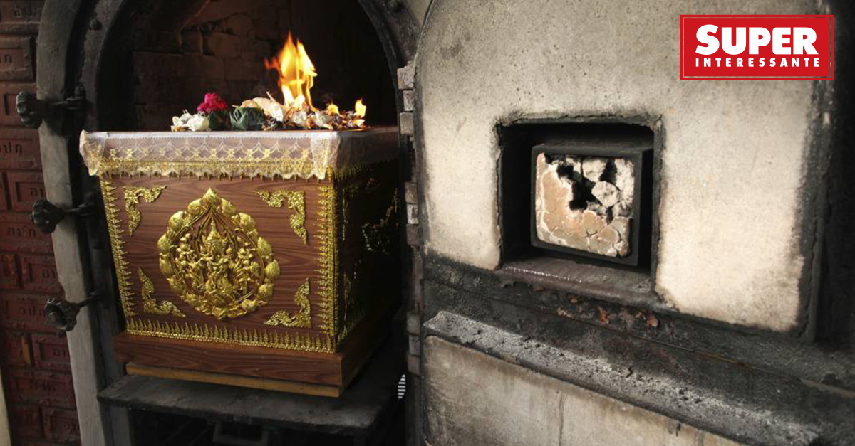 Processo de Cremação  Educação - LONITÉ™
