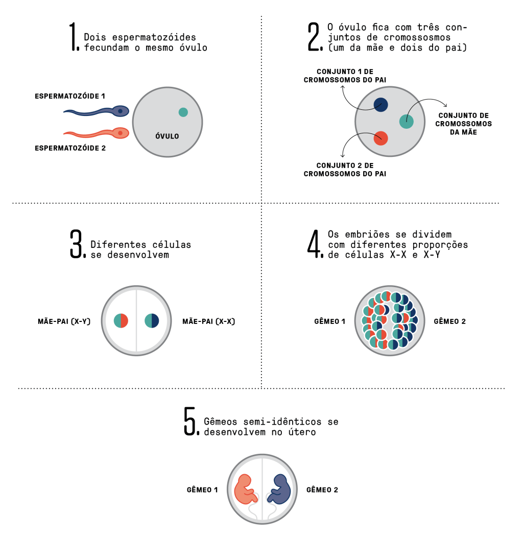 SiteMateria_GemeosSemiIdenticos