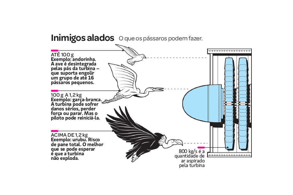 comocai-aviao-pane-turbinas