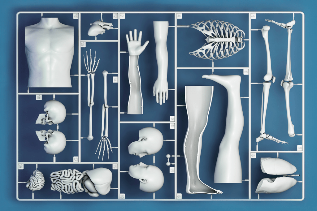 E se a venda de órgãos fosse legalizada?