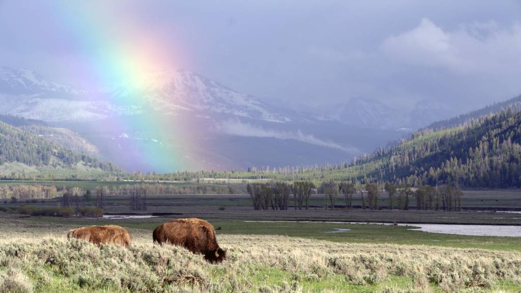 Yellowstone Yellowstone