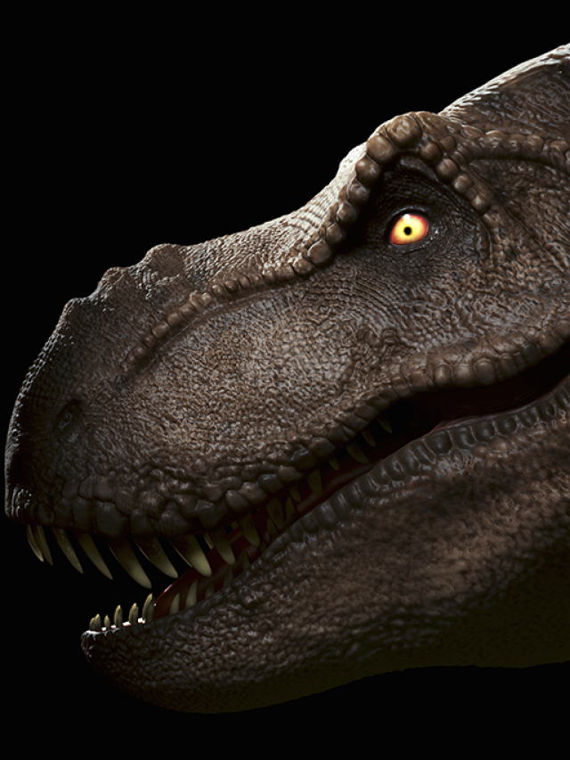 Capa de: Tiranossauro rex tinha temperatura corporal de 36 ºC, diz estudo