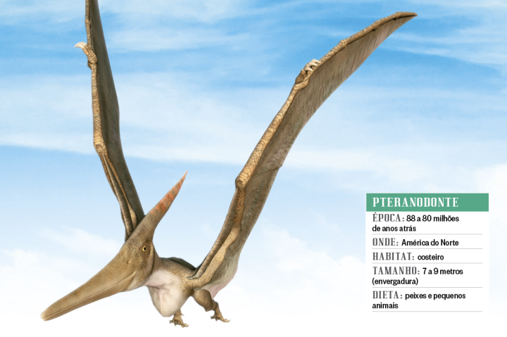 G1 - Pterossauros voavam bem, mas eram derrubados por vento forte