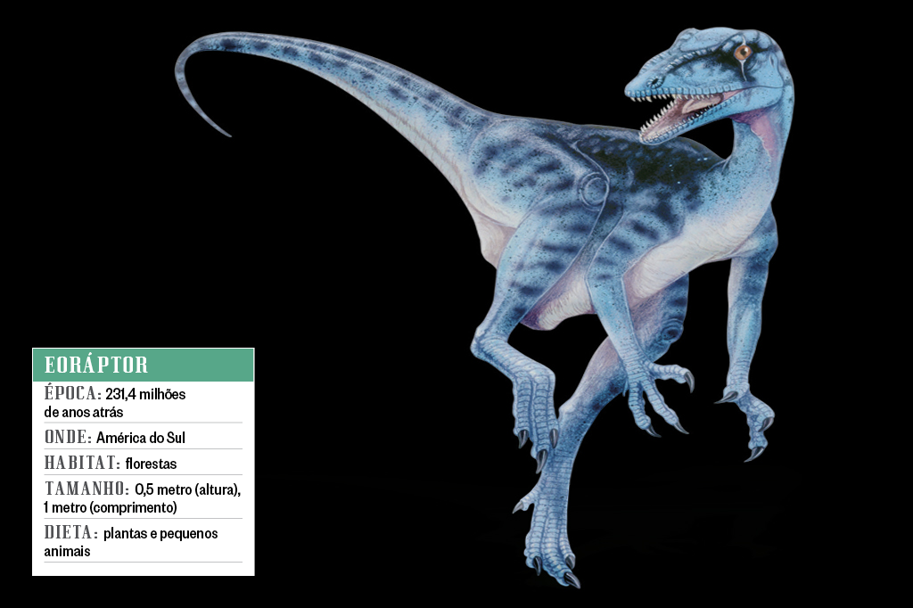 Eoráptor