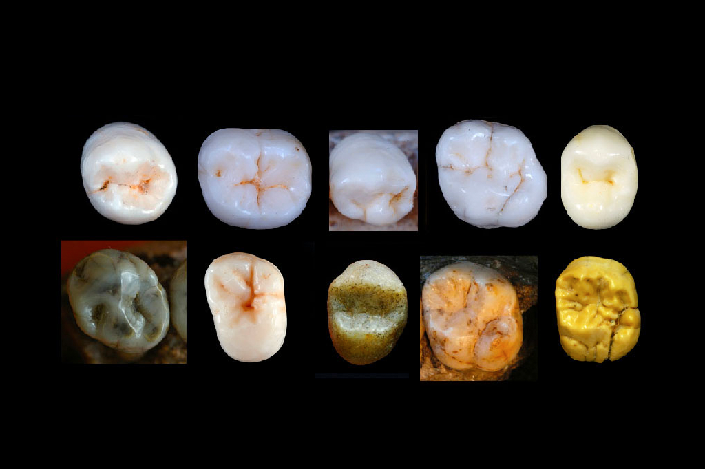 Site_Neandertal2