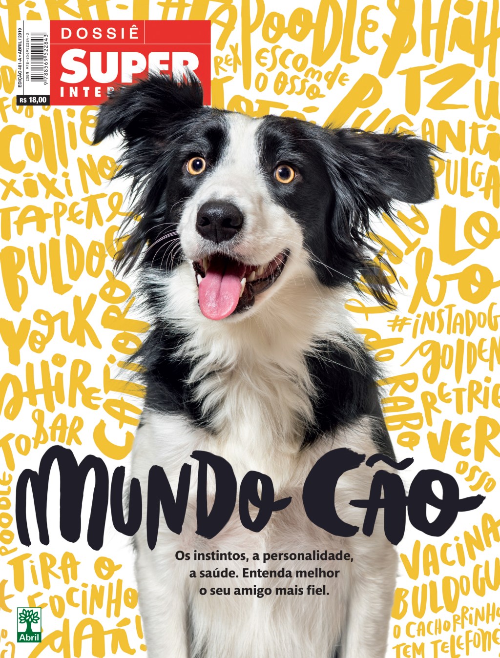 Magazine para cães: Raças de cães: Tudo sobre o Bearded collie