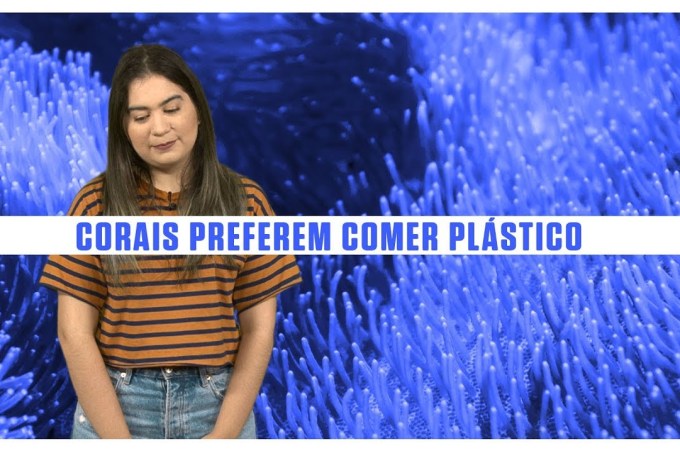 Corais preferem ingerir plástico do que comida habitual – SUPERNOVAS