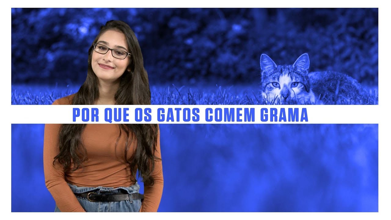 Por que os gatos comem grama