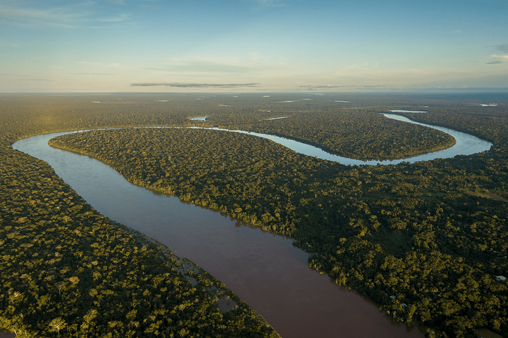 Esclarecimento: a Amazônia não é o pulmão do mundo