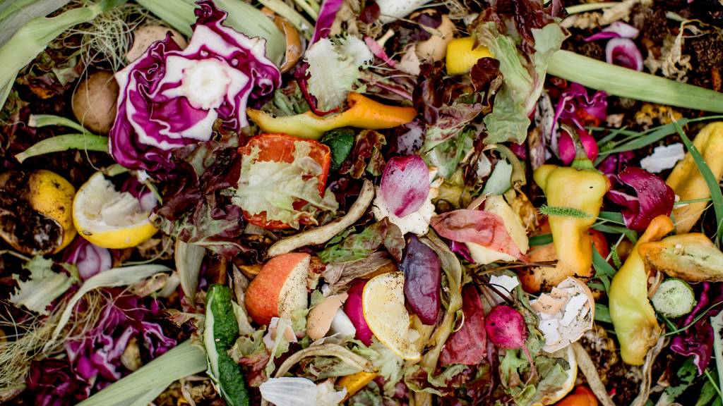 Americanos jogam fora mais da metade da comida que compram