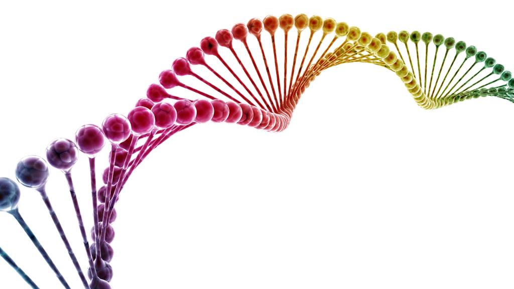 Não existe gene gay. Porque não é assim que os genes funcionam.