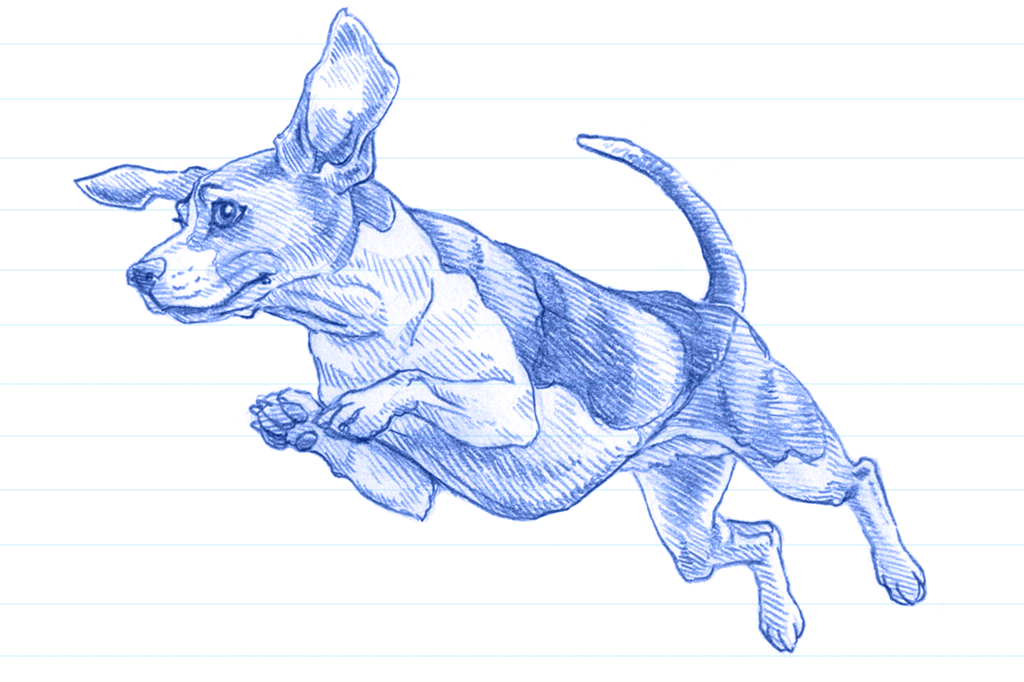 Ilustração em caneta azul de um beagle pulando.