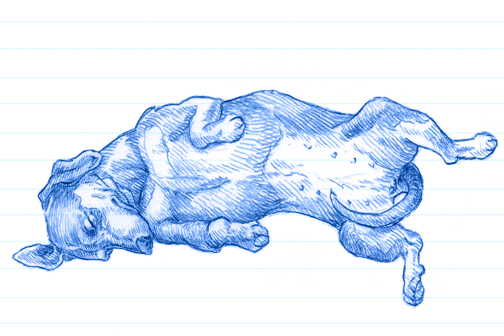 Ilustração de um salsicha rolando em caneta azul. 