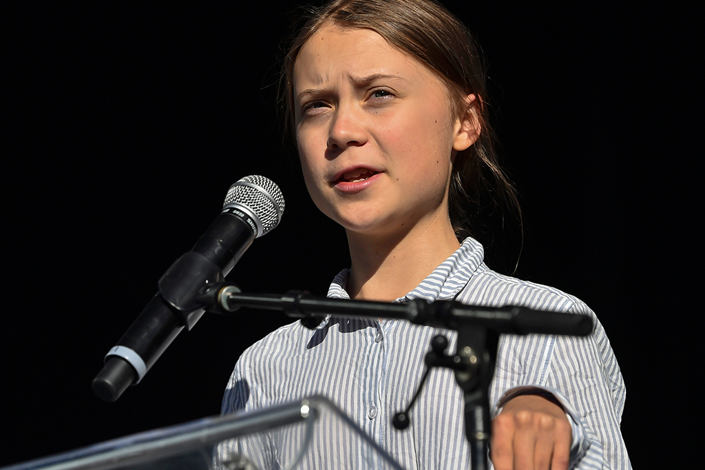 Espécie de besouro é batizada em homenagem a Greta Thunberg