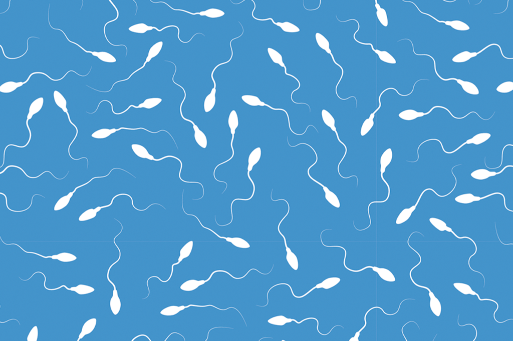 Quanto tempo um espermatozóide sobrevive dentro do corpo da mulher?