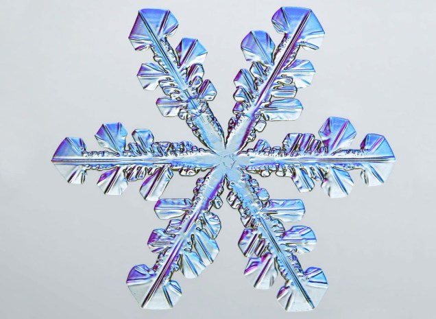 O quinto colocado retrata a natureza real de um floco de neve: microscopicamente todos remetem a estrelas de seis pontas, por conta da<span style="font-weight:400;"> forma como as moléculas de água se organizam quando congelam.</span>