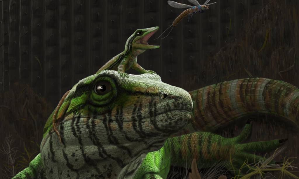 Fóssil de réptil indica que amor materno já existia há 300 milhões de anos