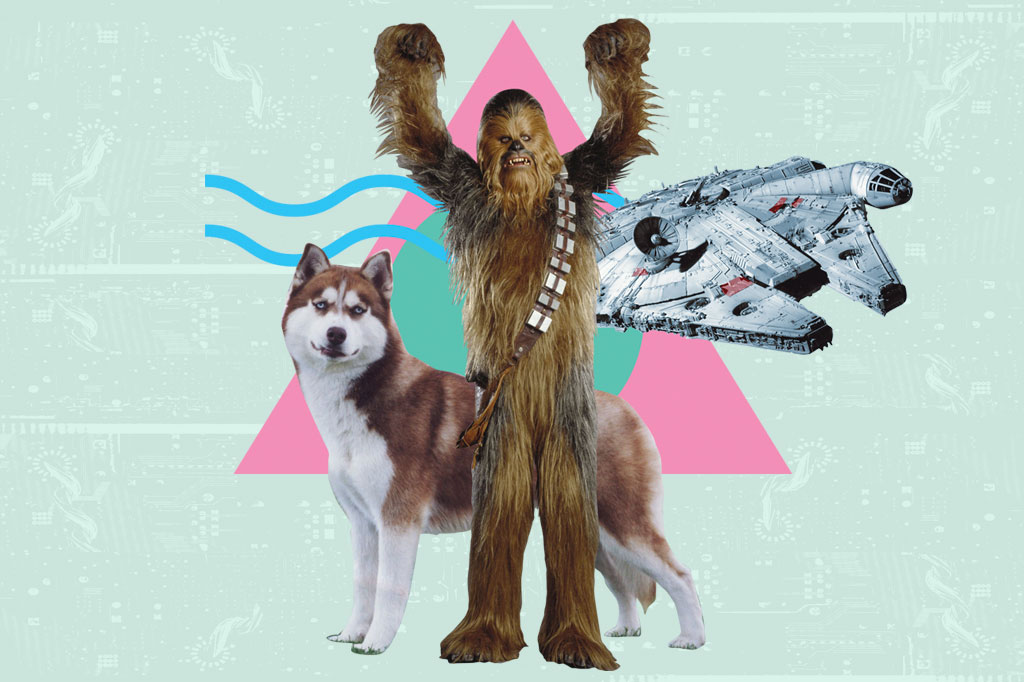 Chewbacca com os braços levantados, um husky ao seu lado e, ao fundo, a nave Millenium Falcon