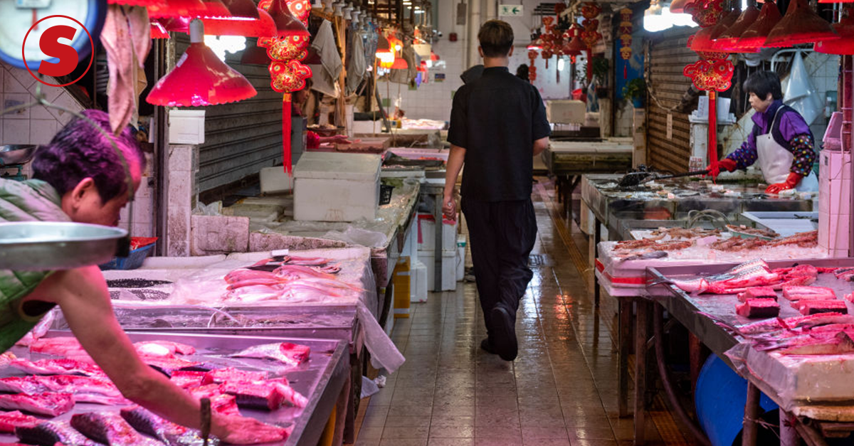 China: farmacêuticas usam animais ameaçados como ingredientes, China