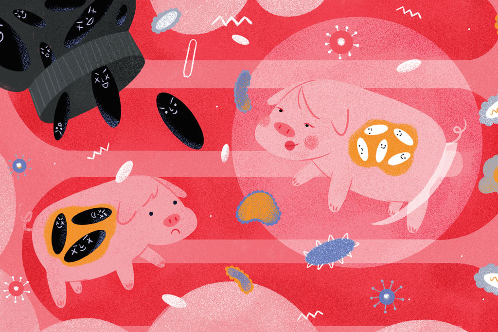 3 notícias sobre: probióticos